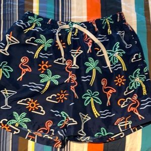 Chubbies swim trunks